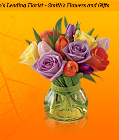 the celebrity dresses